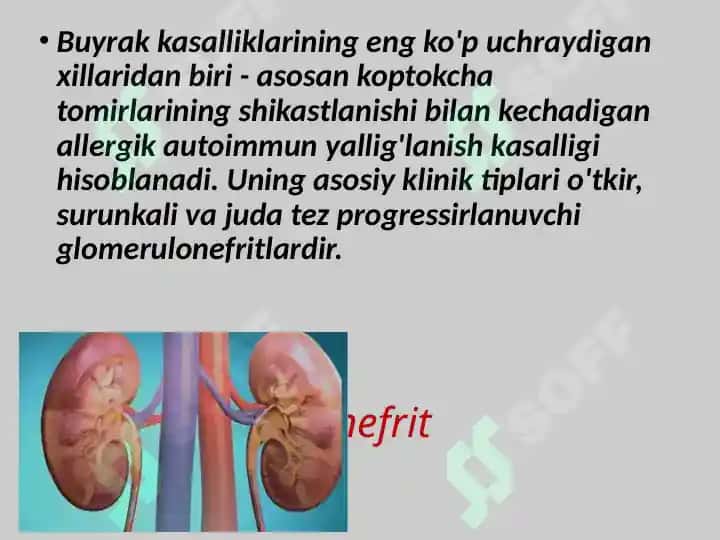 BUYRAK TIZIMI PATOFIZIOLOGIYASI 6
