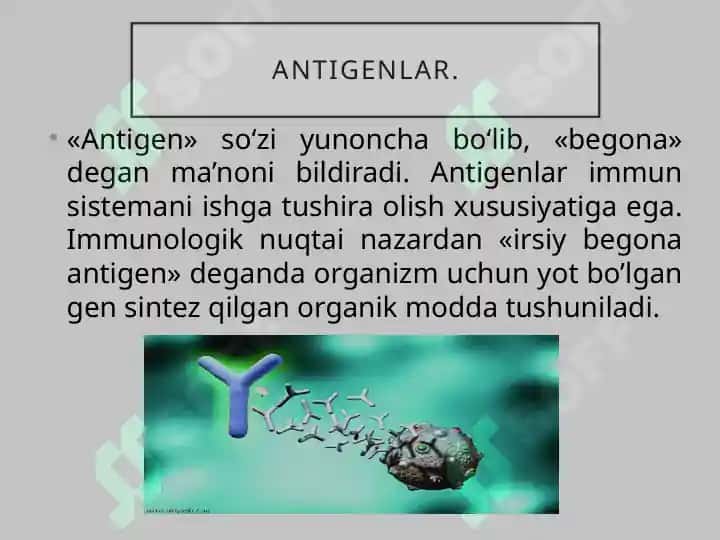 Antigen va Antitela 3