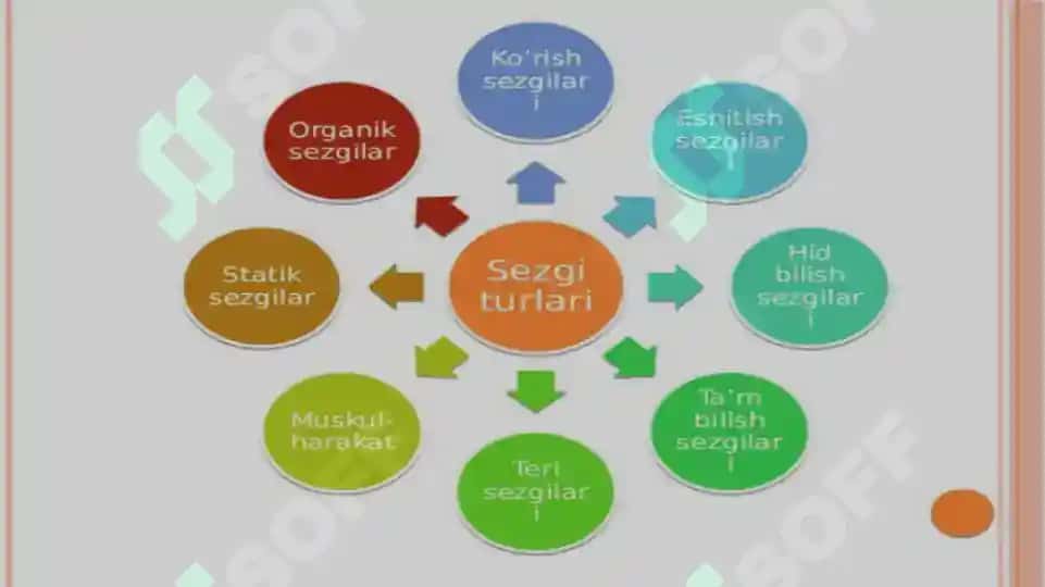 Diqqat va sezgi 7