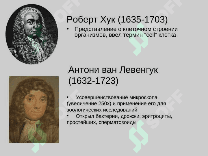 Клетка 2