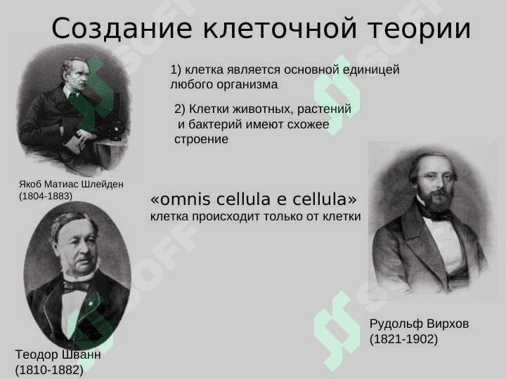 Клетка 3