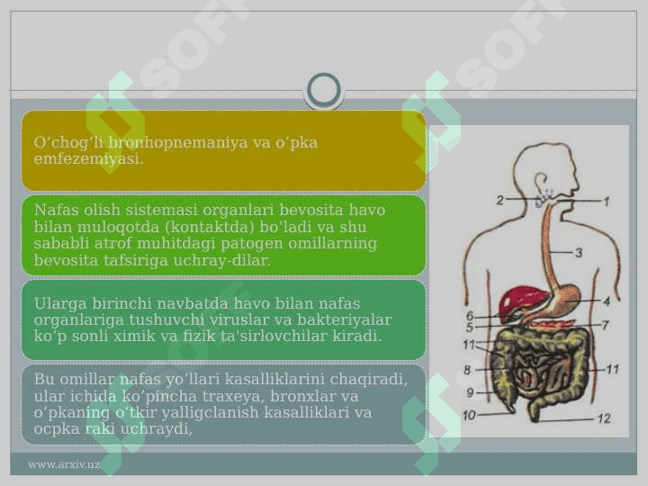 Nafas olish kasalliklari va ularni oldini olish choralari. 3