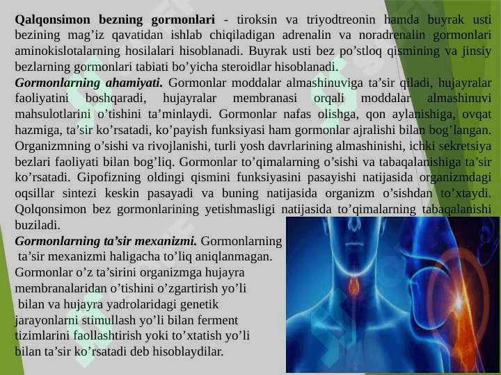 Ichki  sekretsiya bezlarining  yosh xususiyatlari. 8