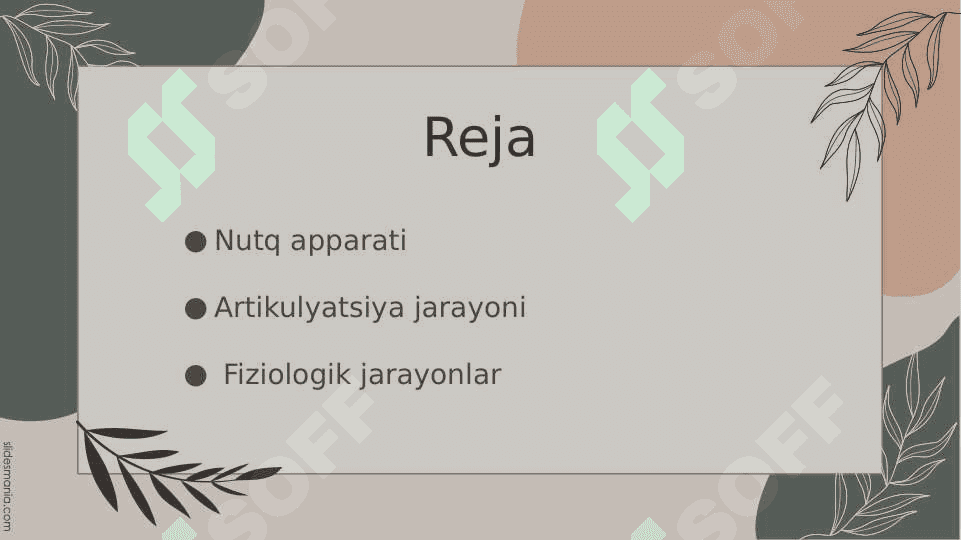Nutqning anatomik va fiziologik tuzilishi 2
