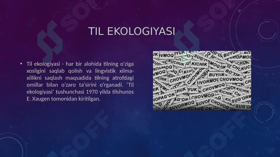 Til va nutq  ekologiyasi 3