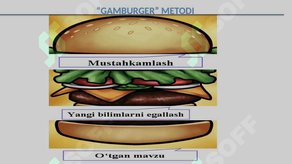 UMURTQALILARNING QON  AYLANISH  SISTEMASI 5