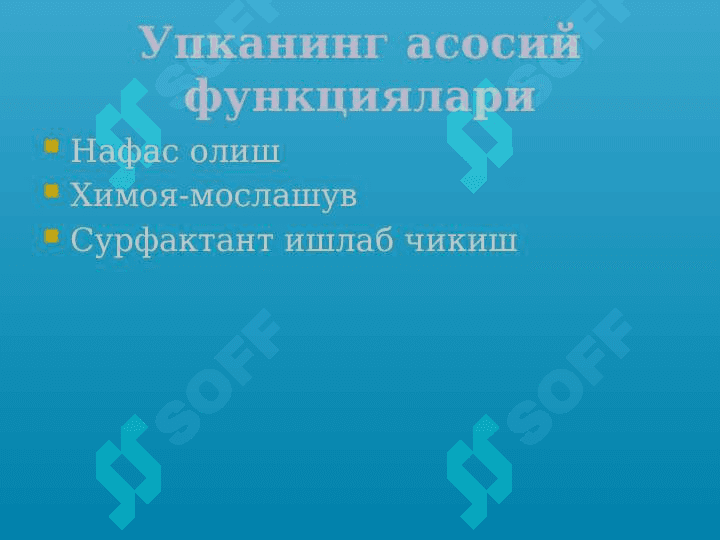 Ўткир зотилжам 6