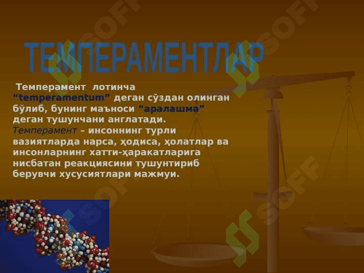 Temperament tiplari 3