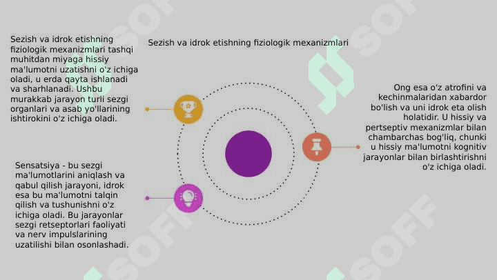 Sezgi, ong va uning fiziologik mexanizmlari 3