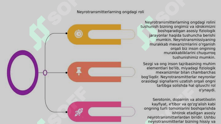 Sezgi, ong va uning fiziologik mexanizmlari 4