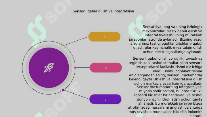 Sezgi, ong va uning fiziologik mexanizmlari 7