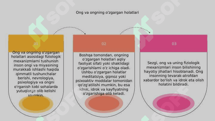 Sezgi, ong va uning fiziologik mexanizmlari 8