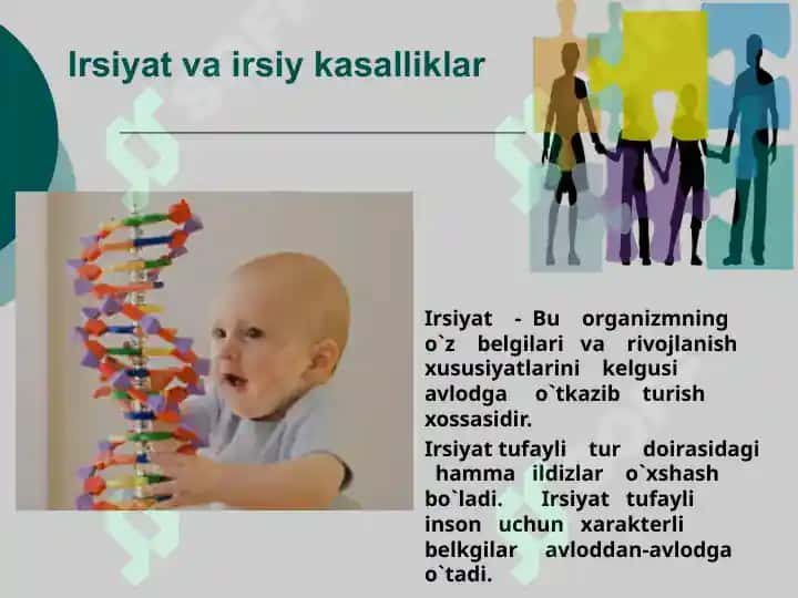 Irsiyat va  irsiy kasalliklar 2