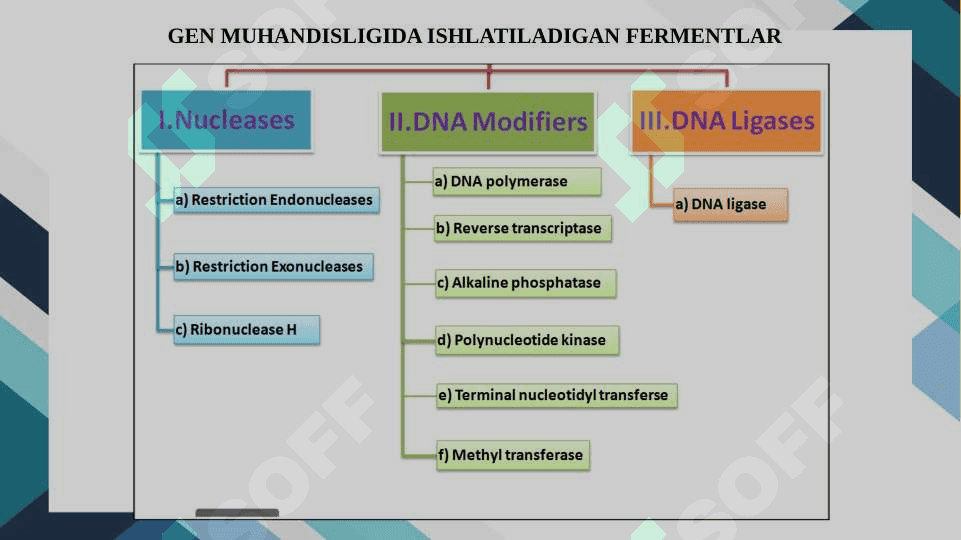 Gen muhadisligida qo`llaniladigan fermentlar 2