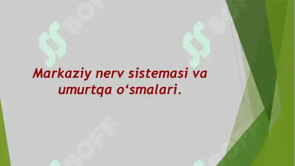 Tibbiyot radiologiyasi 2