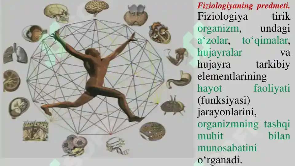 Odam va Hayvonlar Fiziologiyasi 5