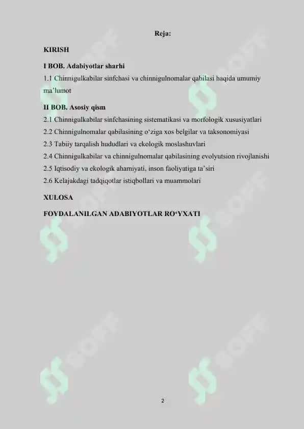 Chinnigulkabilar va chinnigulnamolar mavzusida kurs ishi 2