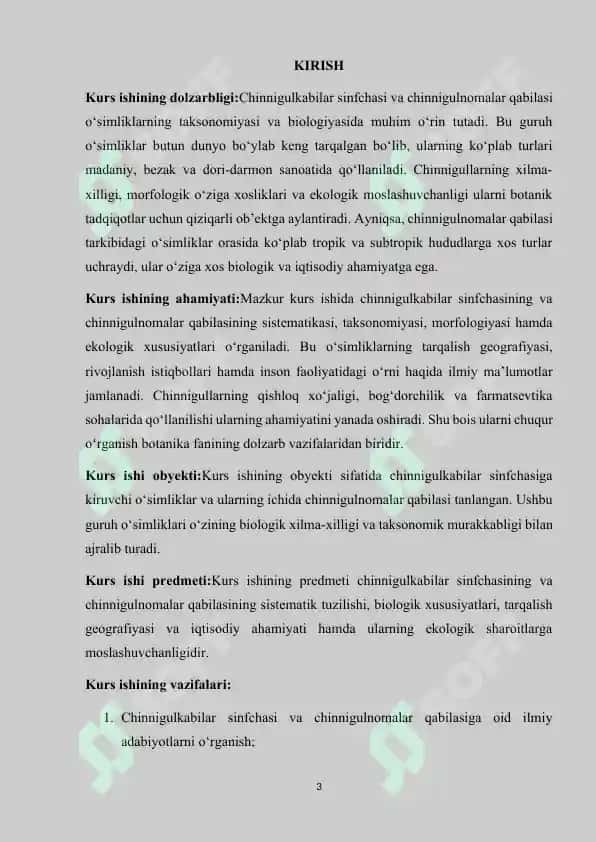 Chinnigulkabilar va chinnigulnamolar mavzusida kurs ishi 3