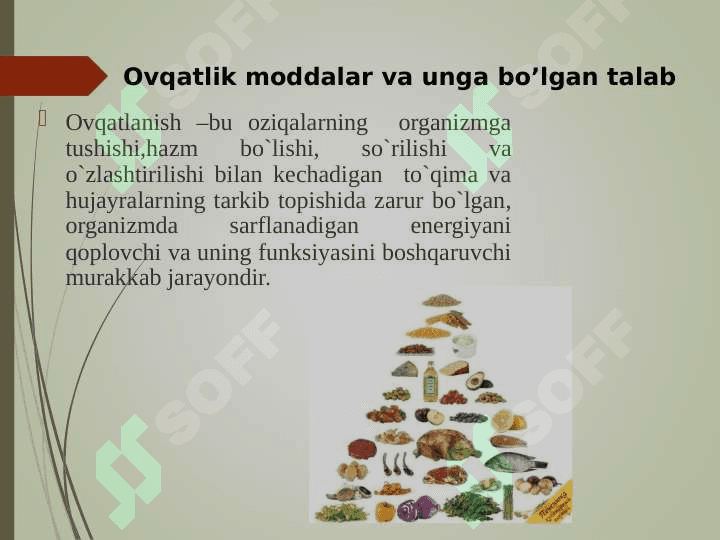 ASOSIY OZIQ MODDALAR 2