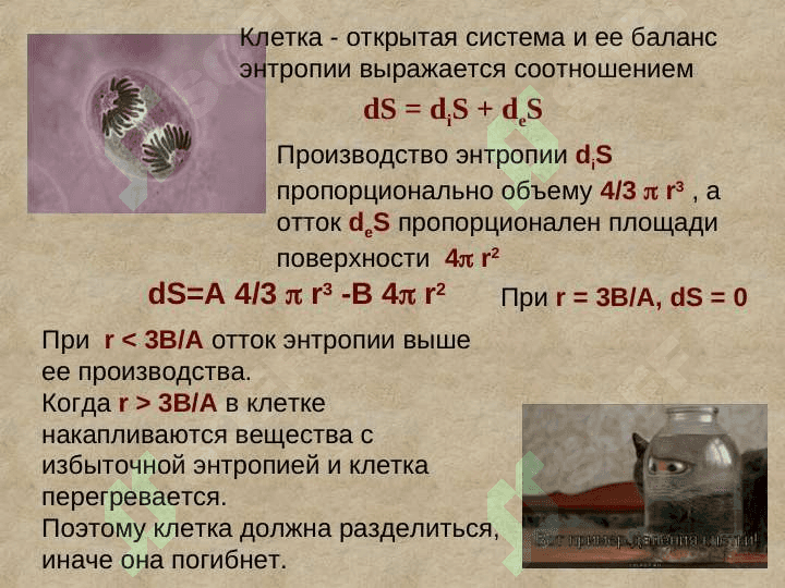 Локальные уменшение энтропии в открытих системах диспатиные структуры 3