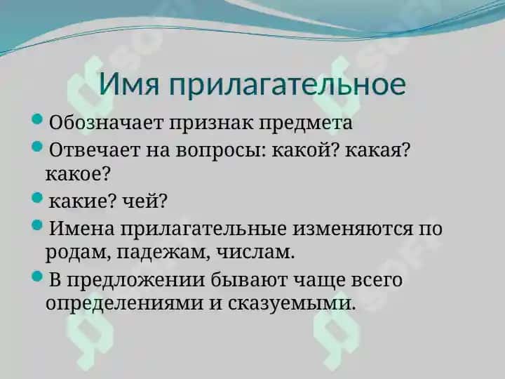 Имя прилагательное 2