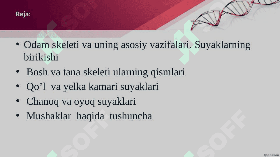 Harakat tayanch tizimi 2