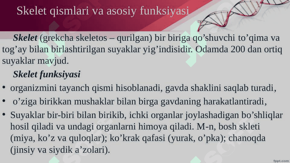 Harakat tayanch tizimi 3