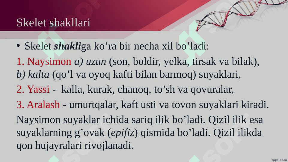 Harakat tayanch tizimi 4