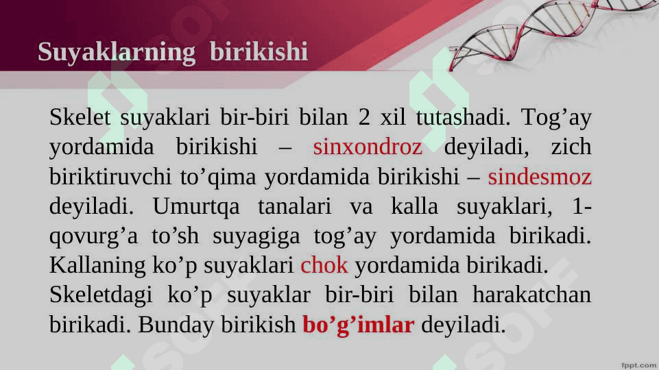 Harakat tayanch tizimi 7