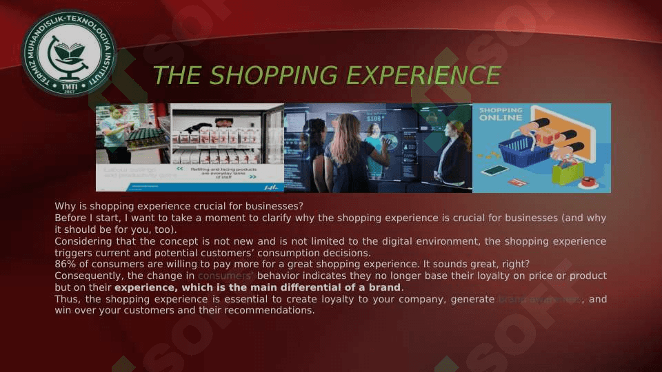 THE SHOPPING EXPERIENCE 3