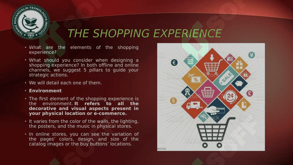 THE SHOPPING EXPERIENCE 4