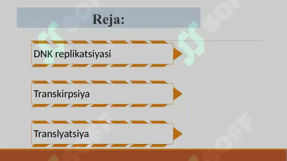 Transkripsiya 2