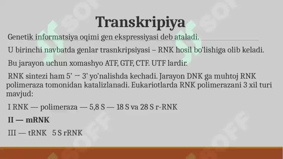 Transkripsiya 5
