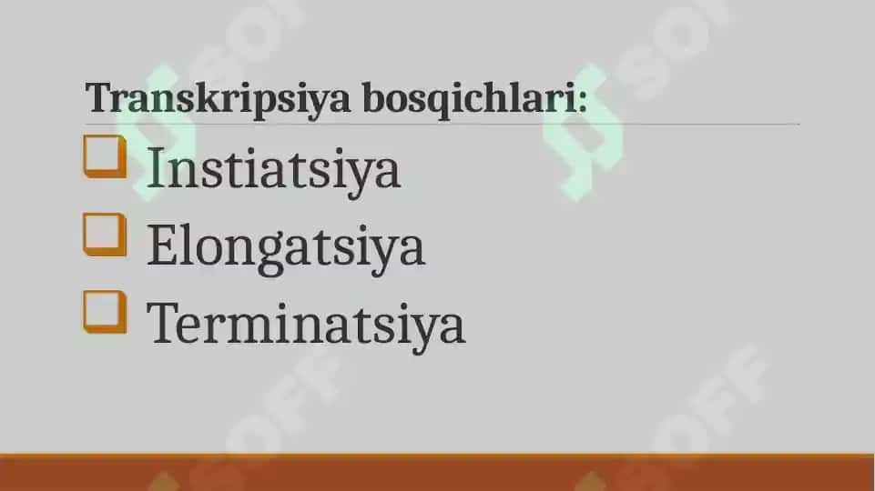 Transkripsiya 6