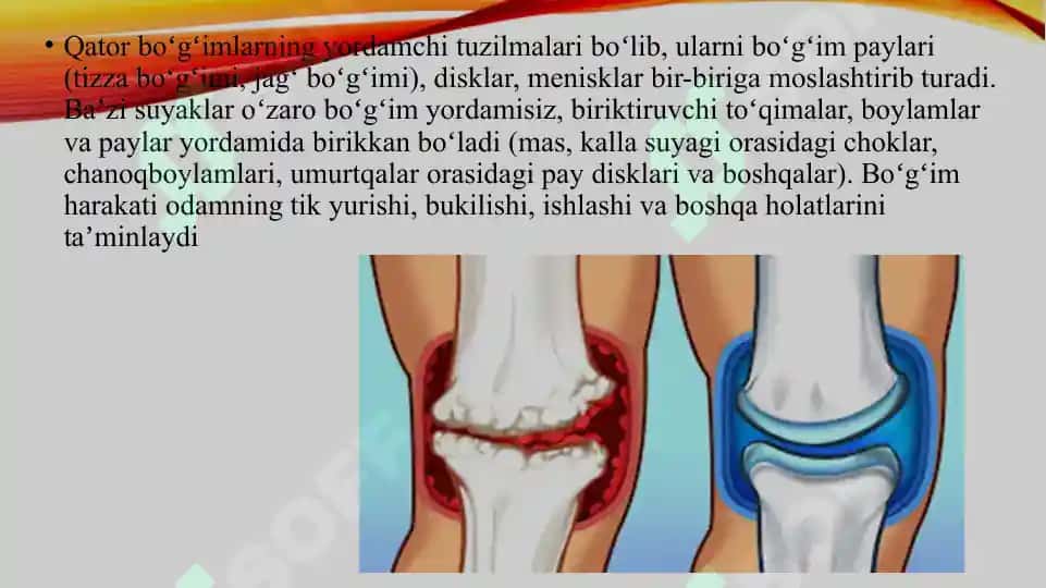 Boʻgʻimyuzalar va boʻgʻim turlari 5