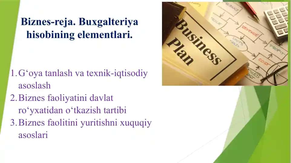 Biznes-reja. Buxgalteriya hisobining elementlari