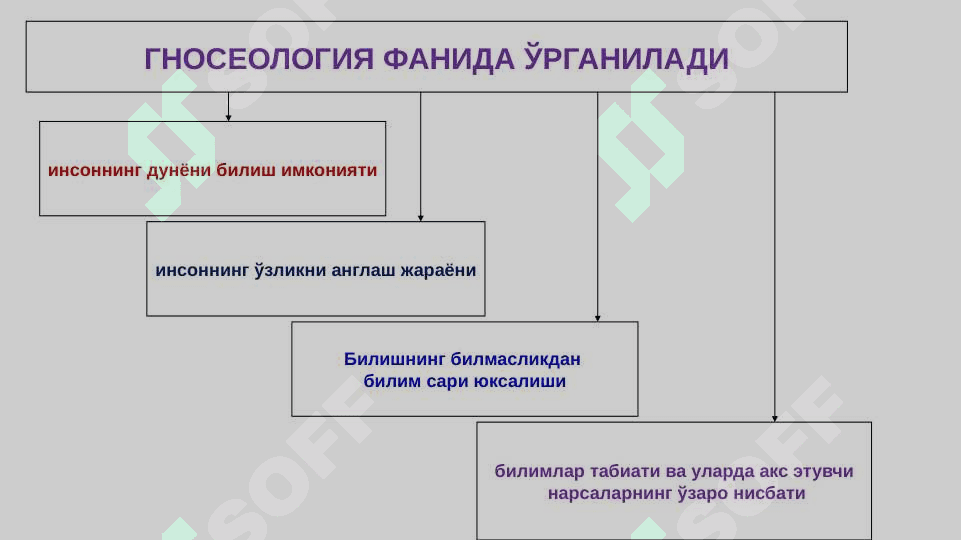 БИЛИШ НАЗАРИЯСИ: АСОСИЙ МУАММОЛАРИ ВА ЙЎНАЛИШЛАРИ 3