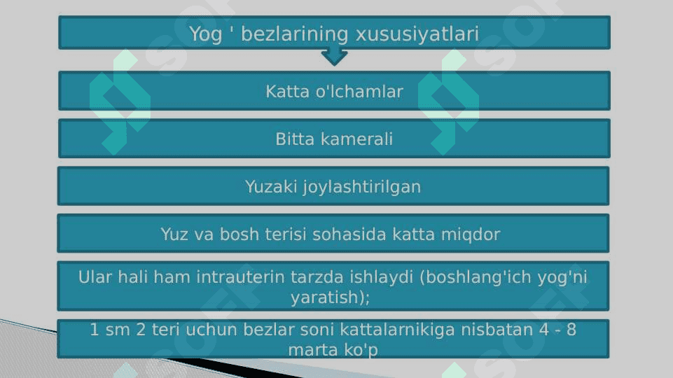 Bolalarda teri, teri osti yog’ qavatining  xususiyatlari 6