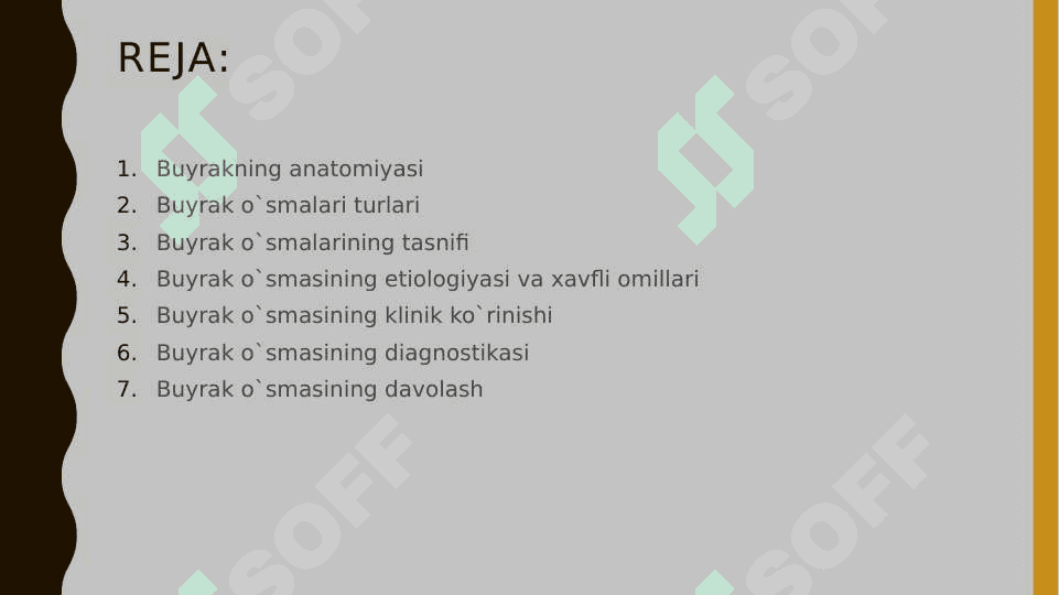 BUYRAK O`SMALARI 2