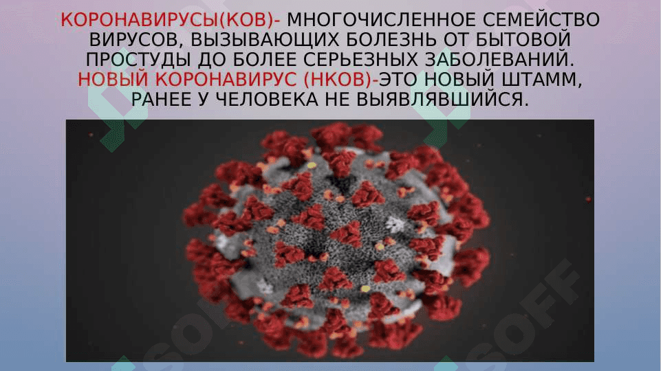COVID-19- ГЛОБАЛЬНАЯ ПРОБЛЕМА СОВРЕМЕННОСТИ 2