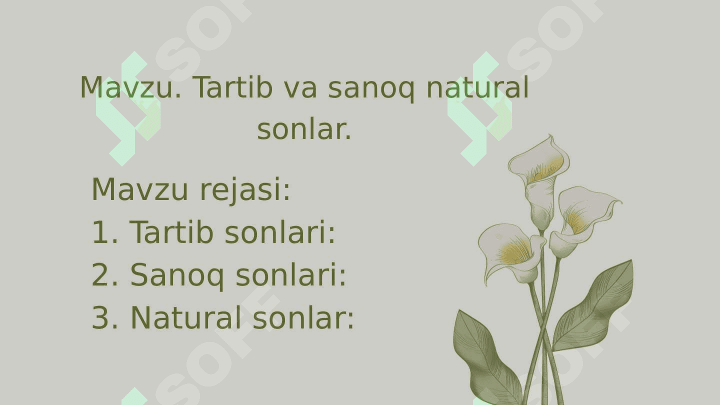 Tartib va sanoq natural sonlar 2