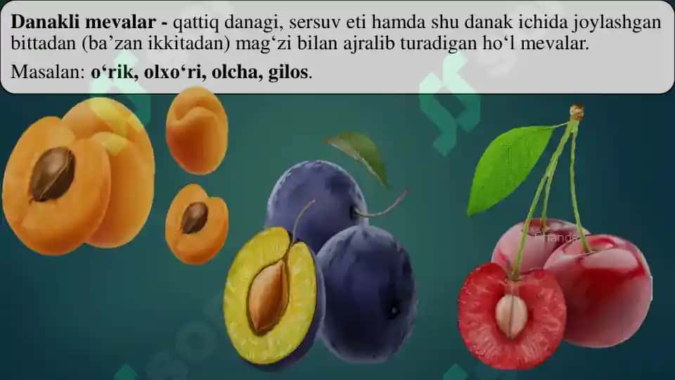 Meva va urug’ 8