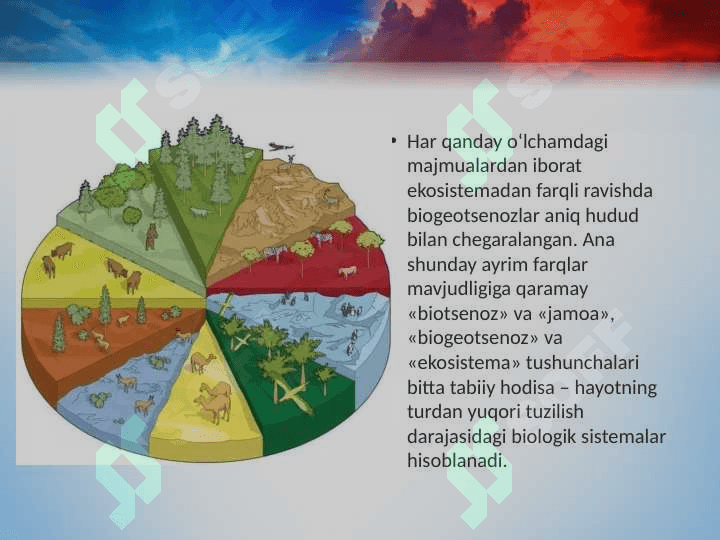 Ekosistemalarning tarkibiy qismlari 2