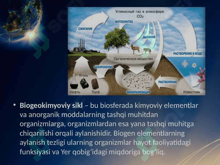 Biogeokimyoviy sikl 3