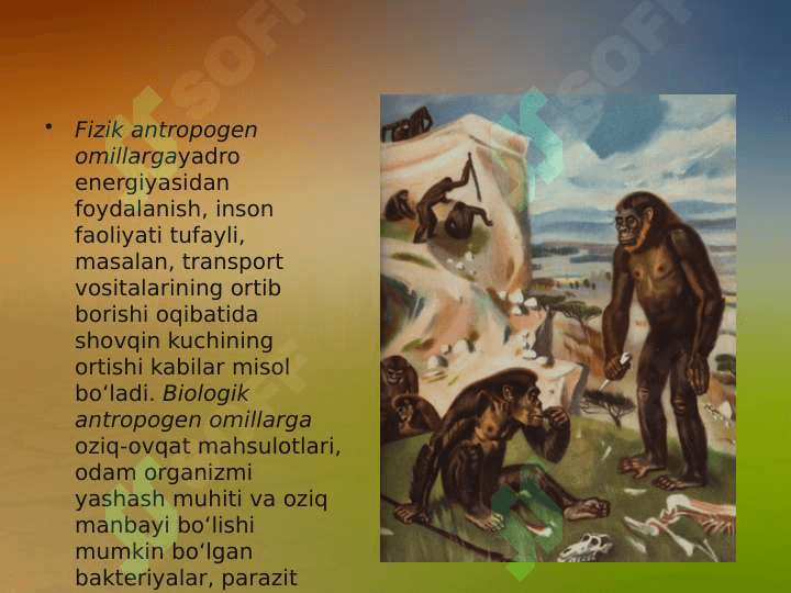 Biogeokimyoviy sikl 4