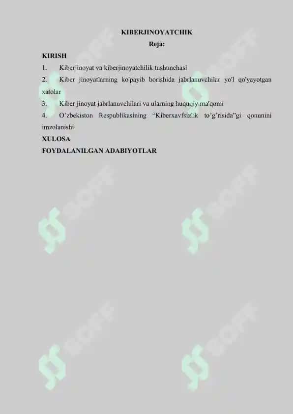 Kiberjinoyatchik 2