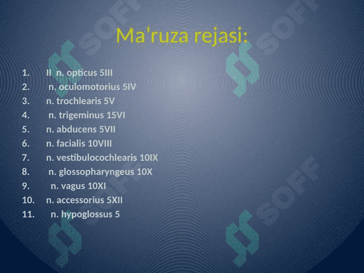 Bosh miya juft nervlarining funktsional anatomiyasi 3