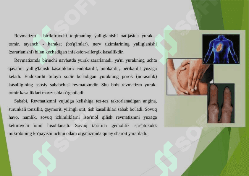 REVMATIZM VA YURAK KASALLIKLARI 2