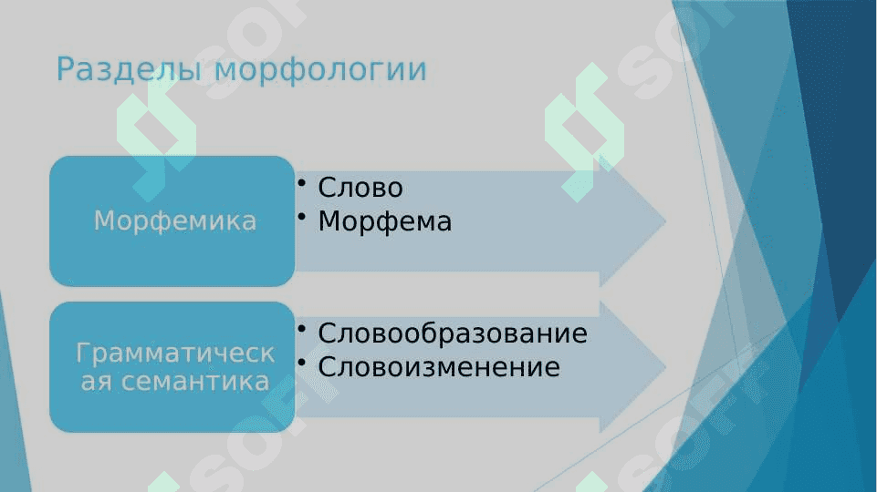 Морфология 3