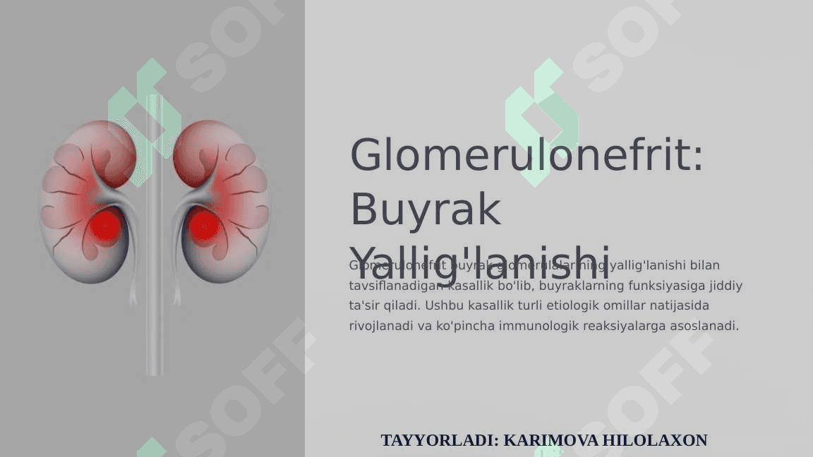 GLOMERULONEFRIT 2